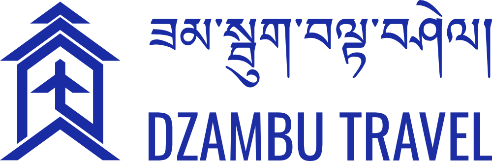 Dzumbu Travel Logo